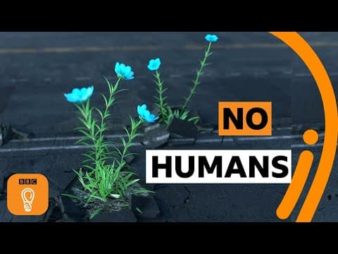 What if all humans on Earth disappeared? | BBC Ideas