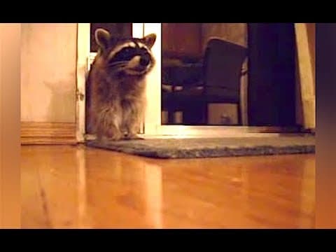 【Special Episode】Let's review your pronunciation!