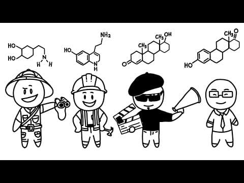 The Four Love Types : Explorer, Builder, Director, And Negotiator