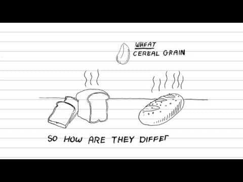 White Bread Vs Whole Wheat (Grain): What's healthier?, What's the difference?