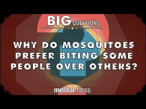 Why do mosquitoes prefer biting some people to others?
