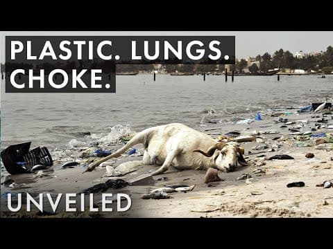 What Happens When Plastic Pollution Gets Worse?