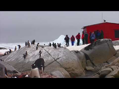 Who Owns Antarctica? (Bizarre Borders Part 3)