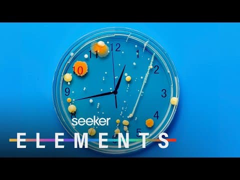 【Special Episode】Let's review your pronunciation!