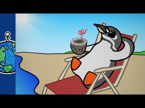 Why Are There Penguins At The Equator?