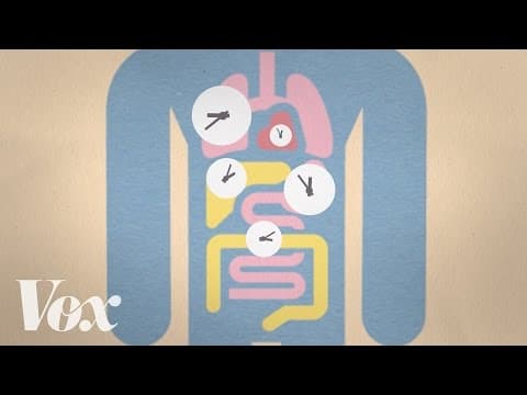 Late sleeper? Blame your genes.