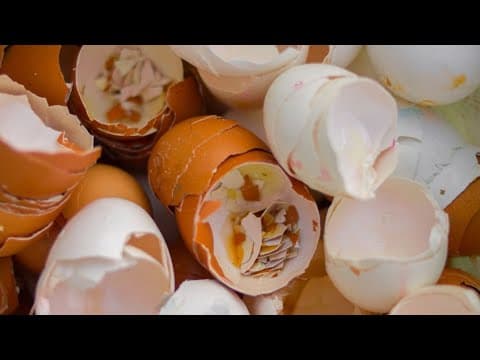 Never Throw Out Your Eggshells, And Here's Why