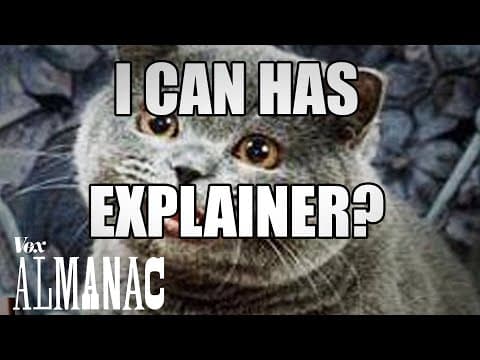 The Reason Every Meme Uses That One Font