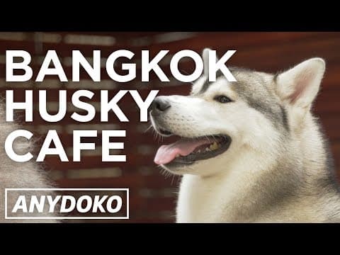 【Special Episode】Let's review your pronunciation!