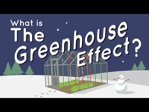 What is the greenhouse effect?