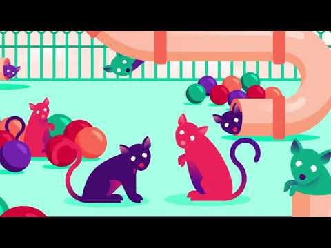 Everything We Think We Know about Addiction Is Wrong