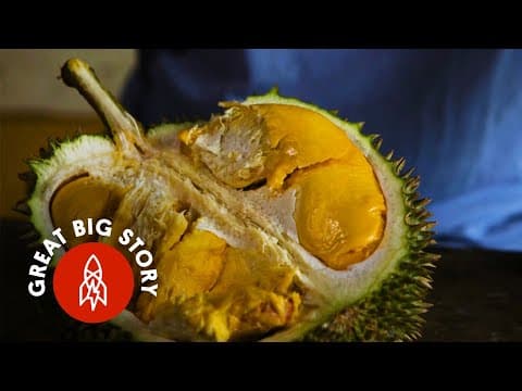 Durian Fruit: A Smell So Rotten, a Taste So Sweet