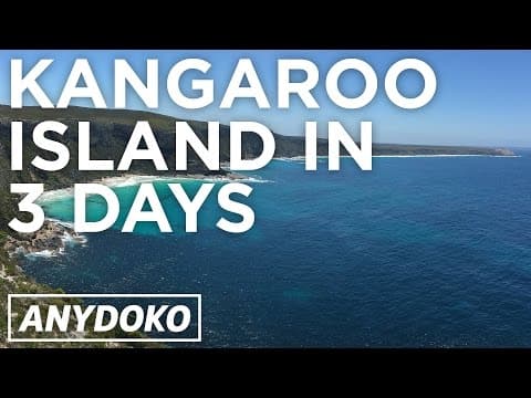 The Best Place To See Kangaroos and Koalas in Australia is Kangaroo Island!