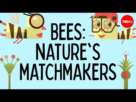 How bees help plants have sex - Fernanda S. Valdovinos