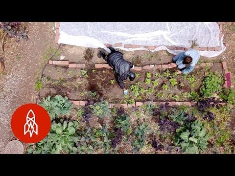 Helping the Homeless Through Farm-to-Table Training