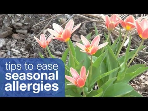 Tips to ease your seasonal allergies