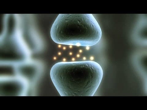 The power of believing that you can improve | Carol Dweck