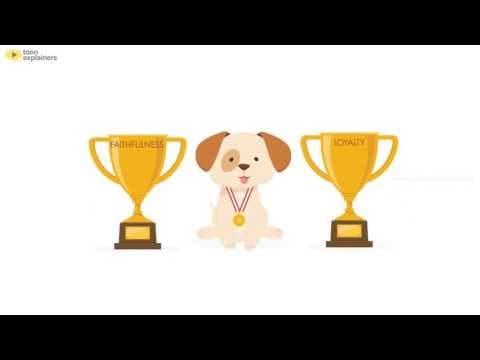 Why do we love dogs?