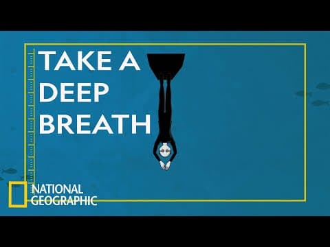 The Dangers of Free Diving | Science of Stupid: Ridiculous Fails