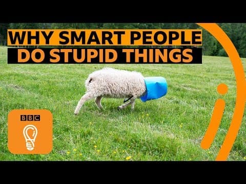 Why smart people make stupid mistakes | BBC Ideas