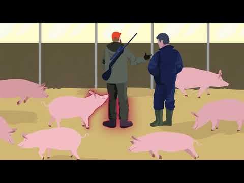 【Special Episode】Let's review your pronunciation!