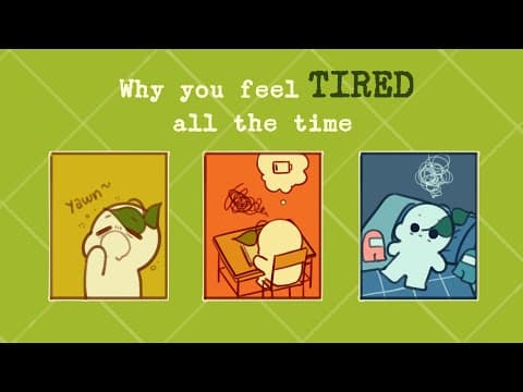 Why You Feel Tired All The Time