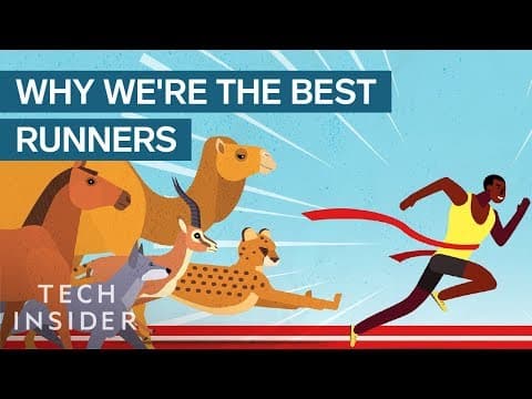 How Humans Evolved to Become the Best Runners on the Planet