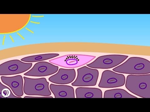 【Special Episode】Let's review your pronunciation!