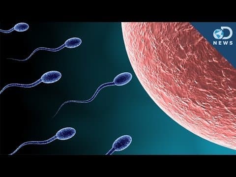 The Sperm Struggle is Real