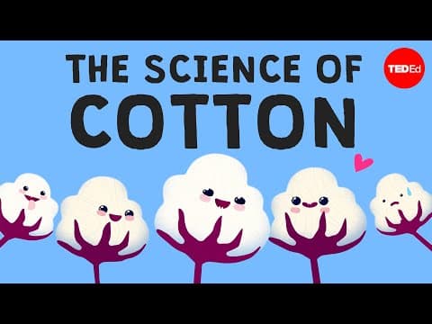 Why is cotton in everything?