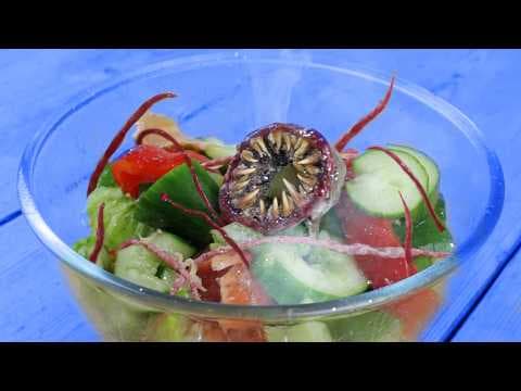 How to make a salad from possessed vegetables