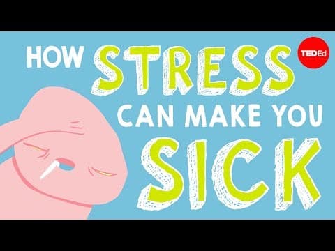 【TED-Ed】How stress affects your body - Sharon Horesh Bergquist