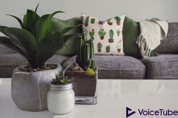 a minimalist room with plants in it to make us happier